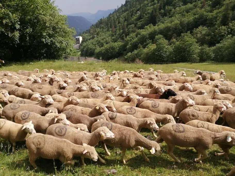 Petit Nid Montagnard Apartment Rousset en Vercors